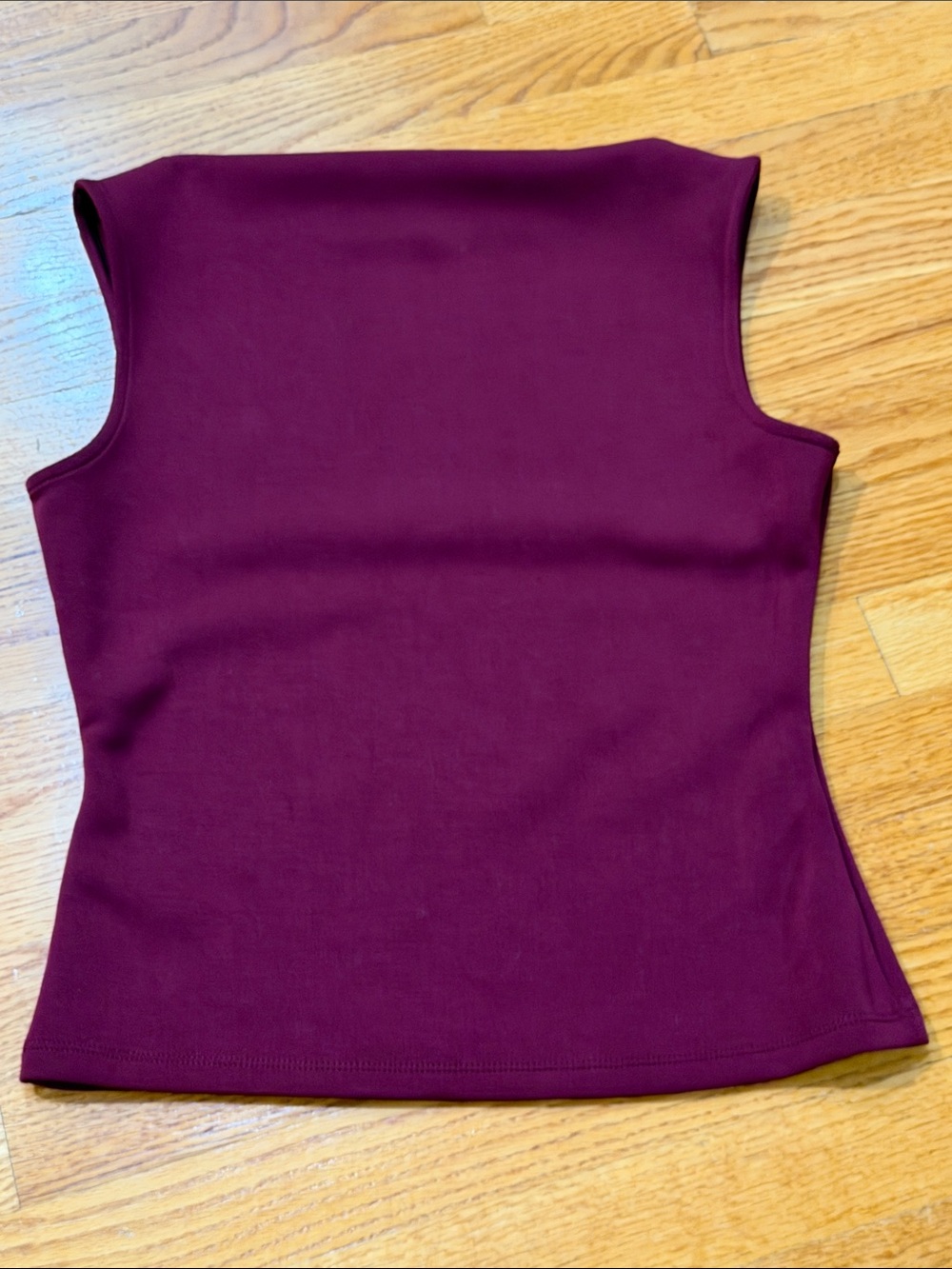 Banana Republic Sleeveless Tank Top in Wine